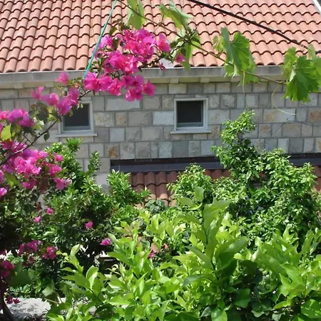 Διαμέρισμα Azure - One Bedroom Saplunara